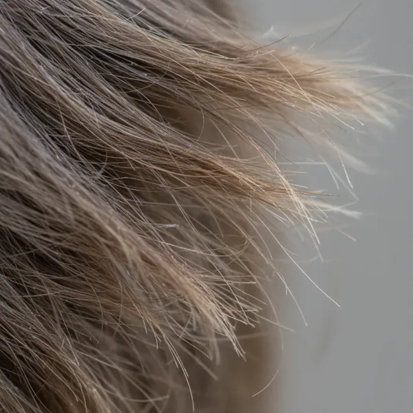 Close-up of frizzy, dull, and brittle hair showing damage from aggressive drying methods.